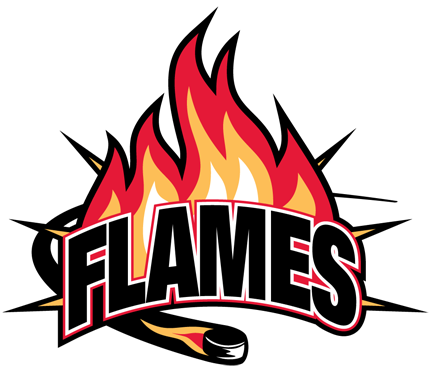 2015-2016 > TYK > Flames (BLOMHA)